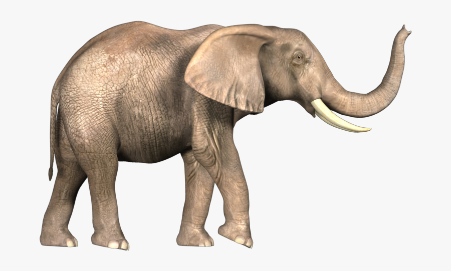 Bahubali Elephant Png, Transparent Clipart