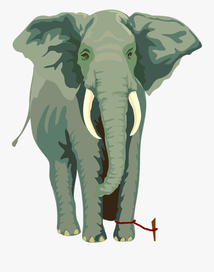 Elephant With Rope, Transparent Clipart