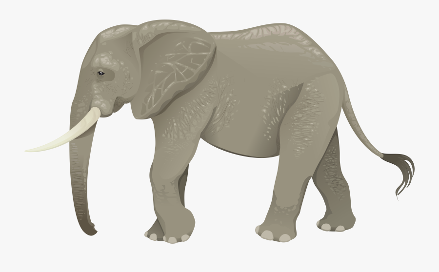 Elephant Clipart Transparent Background - Transparent Background Elephant Clipart, Transparent Clipart