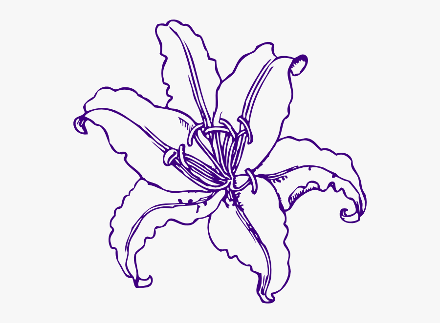 Purple Lilly Clip Art At Clker - Lily Coloring Pages, Transparent Clipart