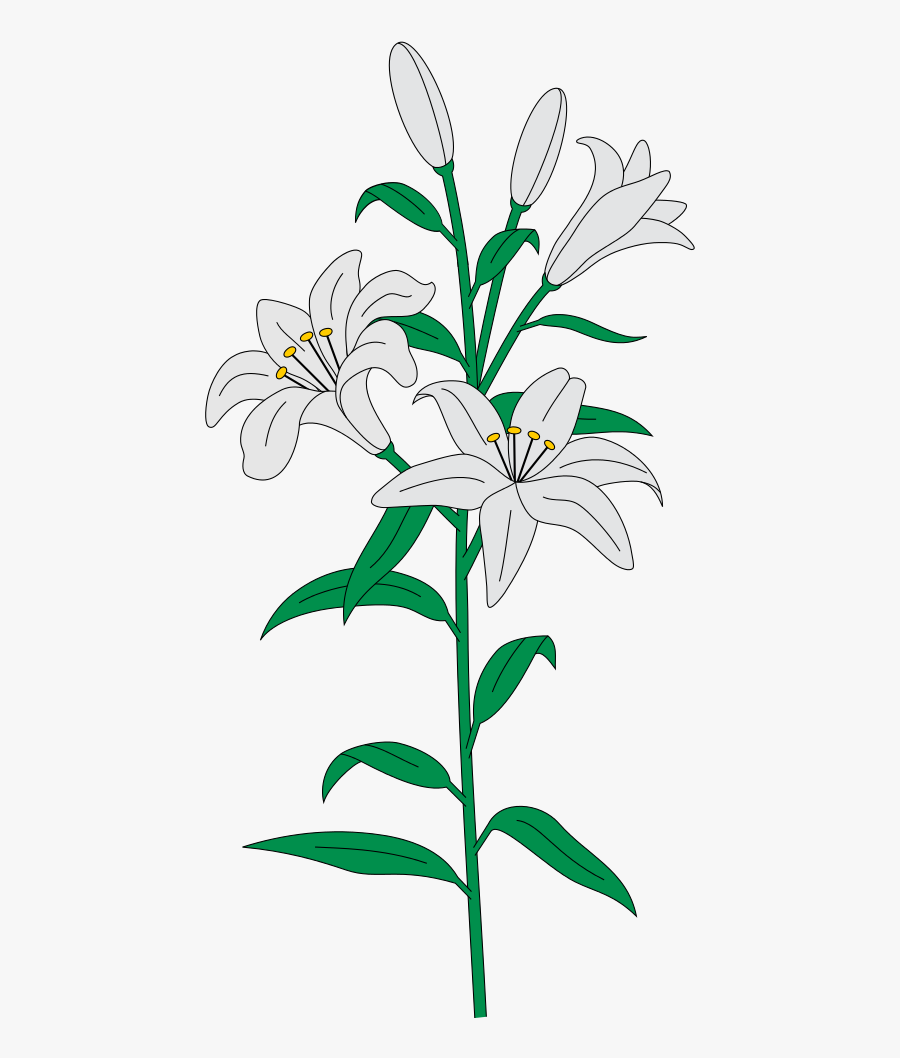 Lilies Svg Free Transparent Clipart Clipartkey