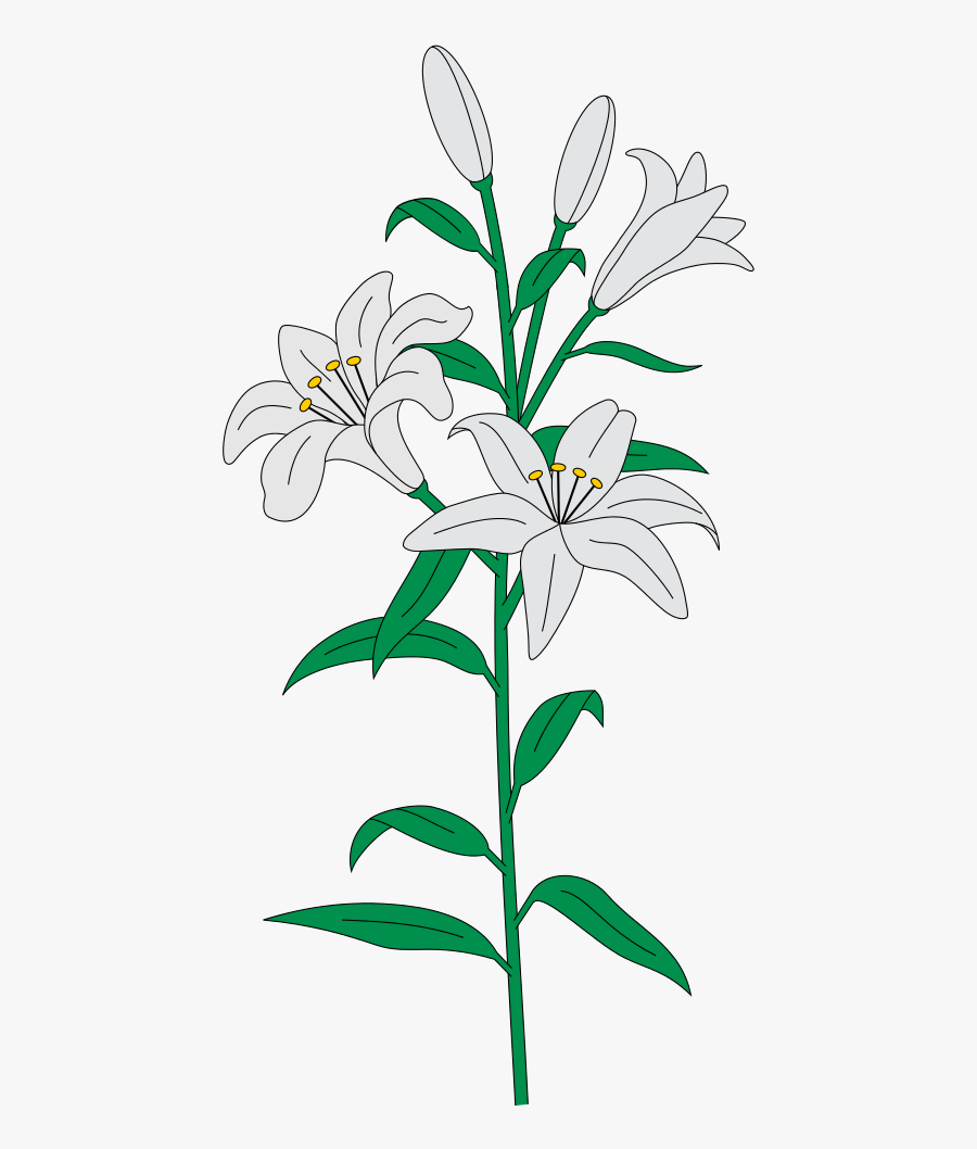 Lilies Svg, free clipart download, png, clipart , clip art, transparent cli...