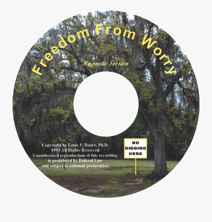 Circle, Transparent Clipart