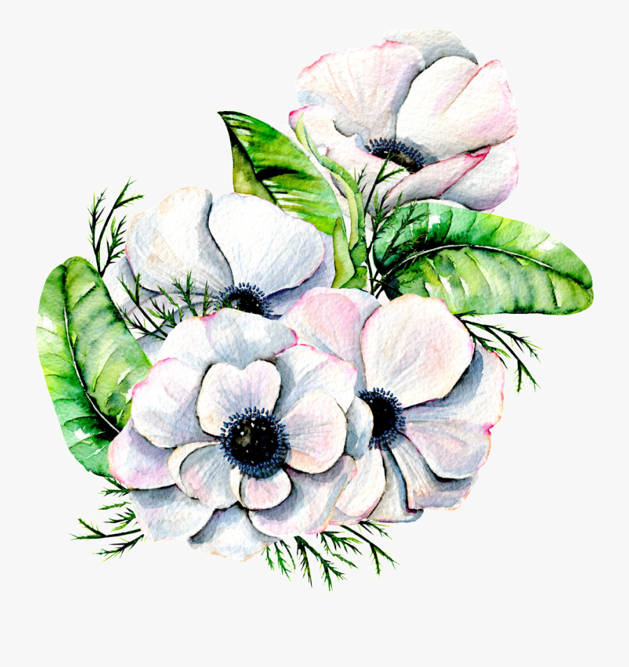 Hand Painted Elegant White Flower Png Transparent - Anemone White Flower Paintings, Transparent Clipart