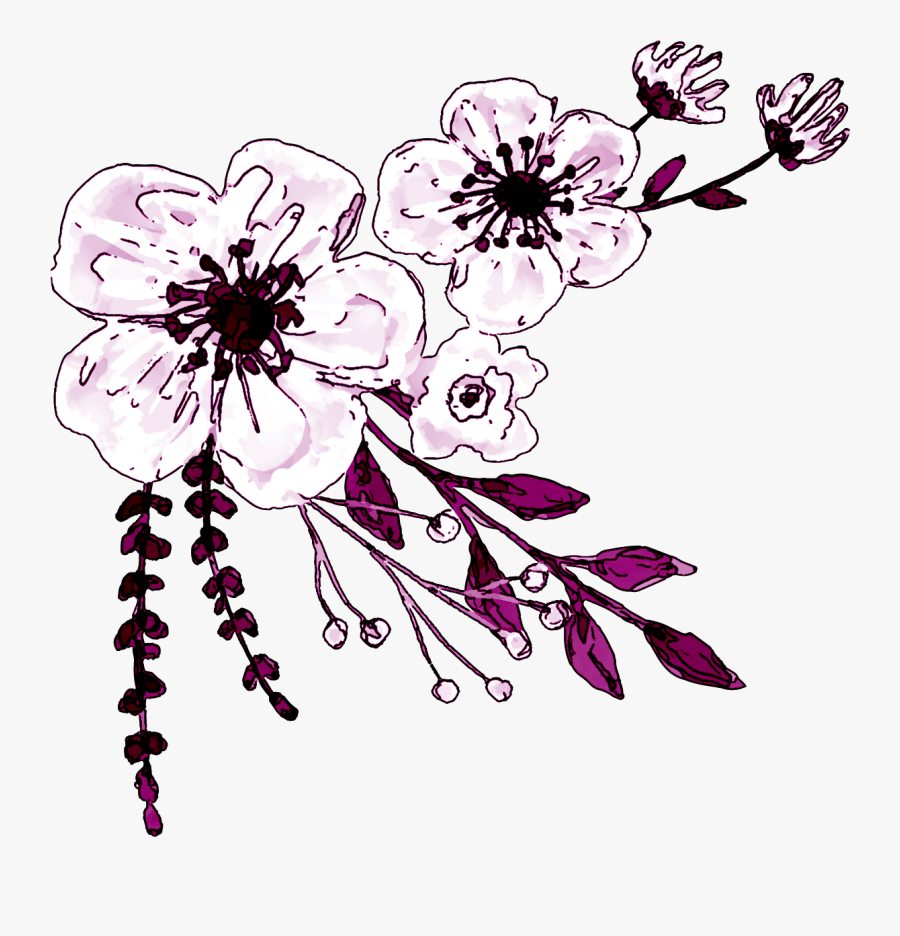 Watercolor White Flower Clipart - Clipart Flower, Transparent Clipart