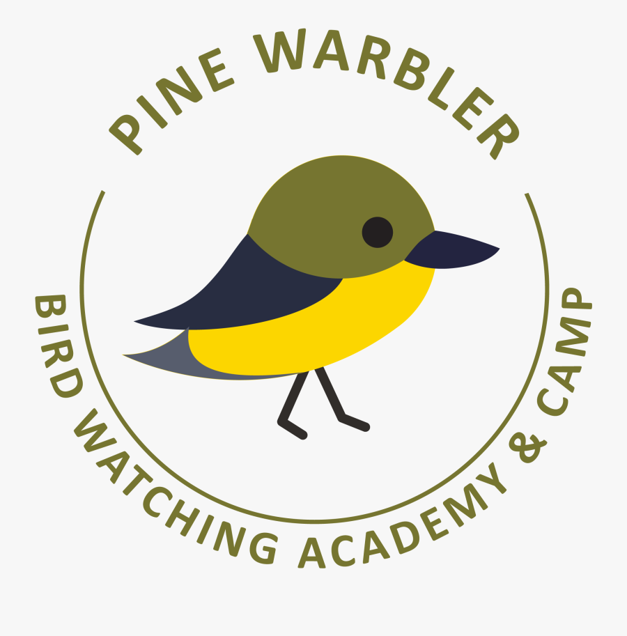 Golden-winged Warbler Clipart , Png Download - Organic, Transparent Clipart