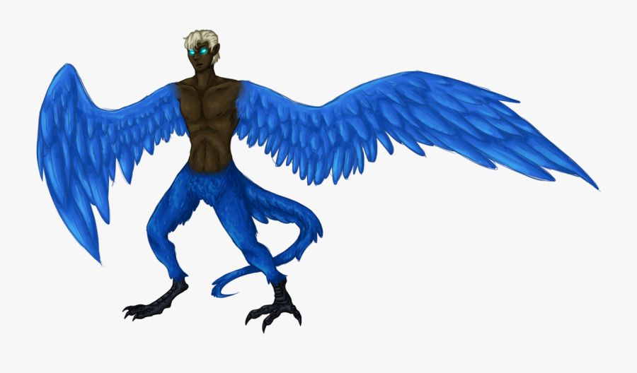 Mountain Bluebird Drawing - Illustration, Transparent Clipart