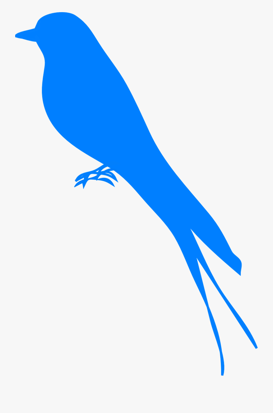 Martin Bird Swallow - Bluebird Silhouette, Transparent Clipart