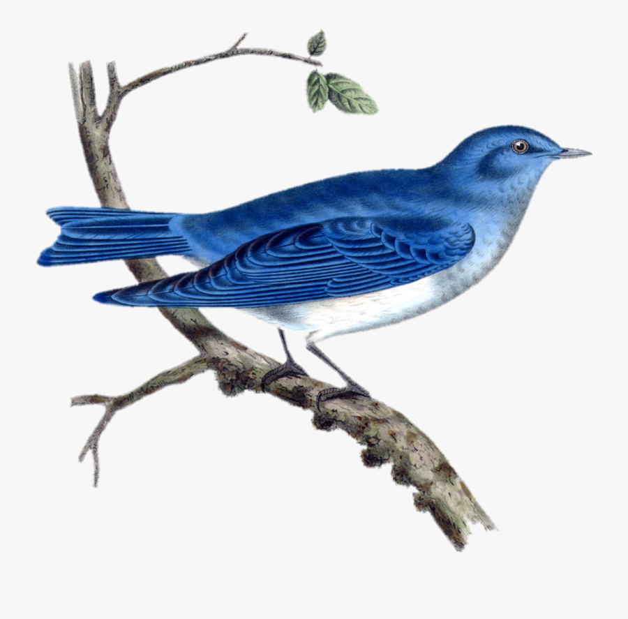 Nice Collection Of Vintage Images - Paint Tripp Trapp Chairs, Transparent Clipart