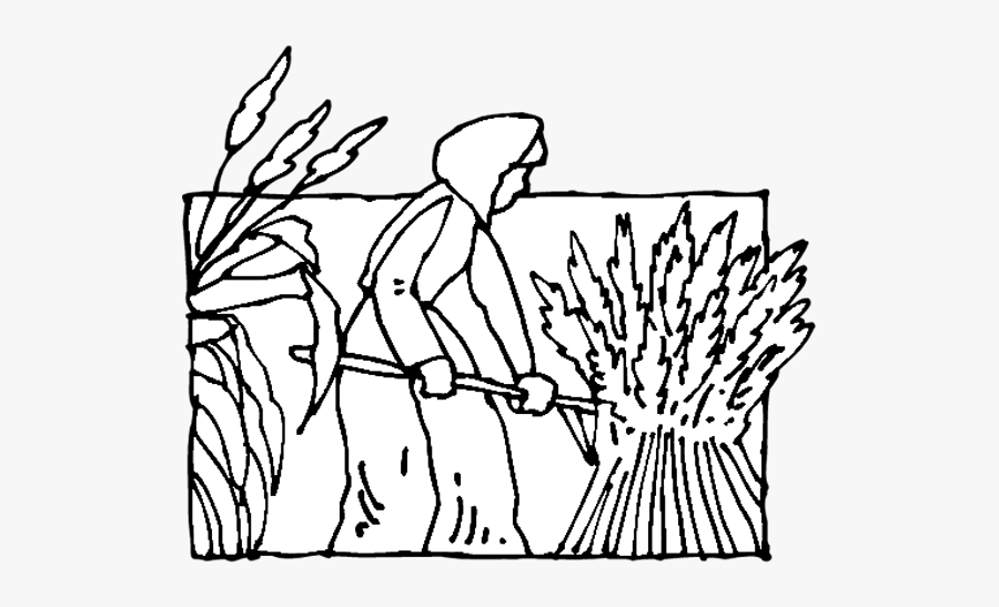 Drawing, Transparent Clipart