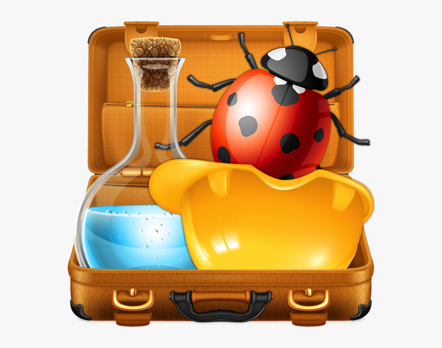 Insect, Transparent Clipart