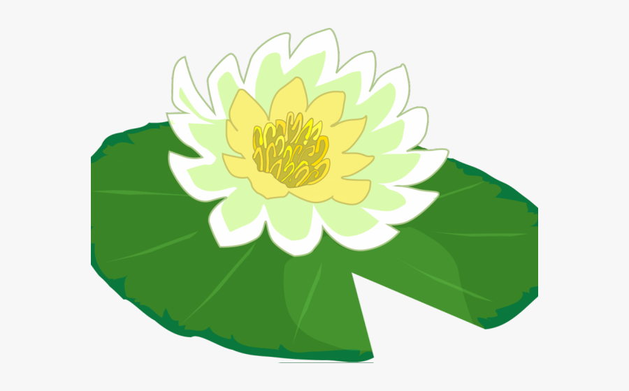 Cartoon Water Lily Flower, Transparent Clipart