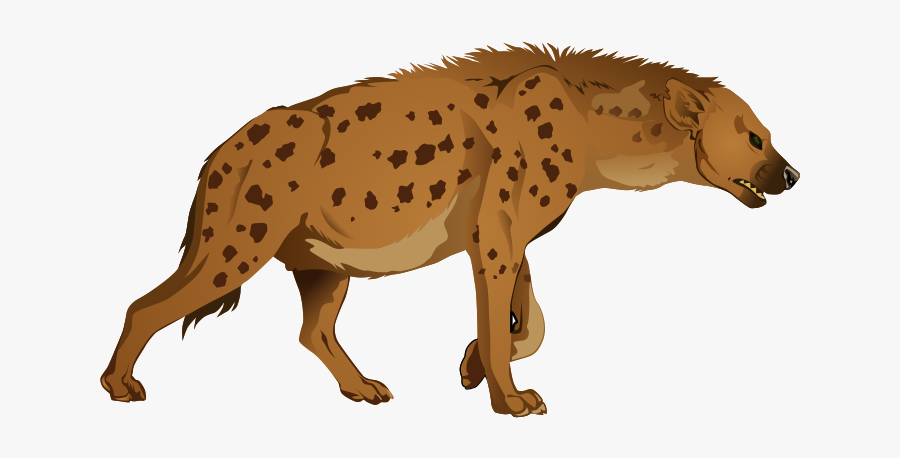Hyena Png - Hyena Clipart, Transparent Clipart