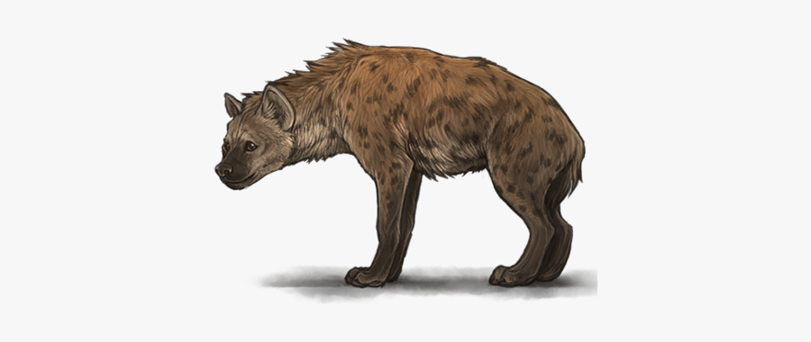31451 - Hyena Png, Transparent Clipart