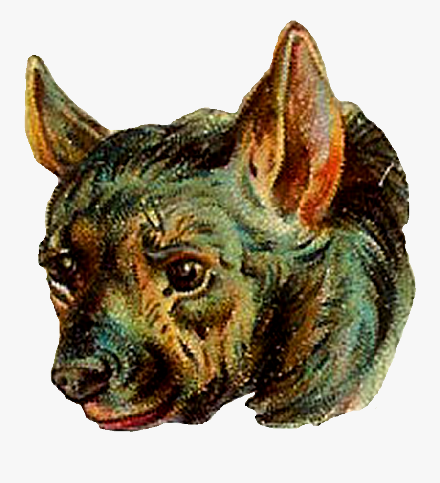 Digital Hyena Clip Art - Companion Dog, Transparent Clipart