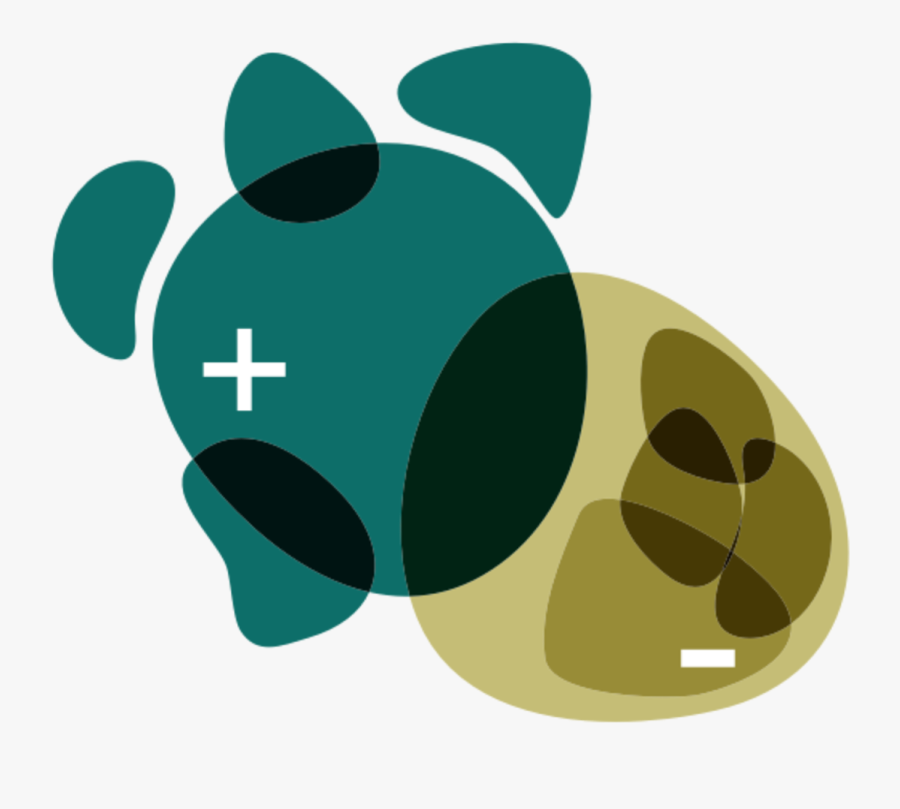 What Do The People Want - Snout, Transparent Clipart