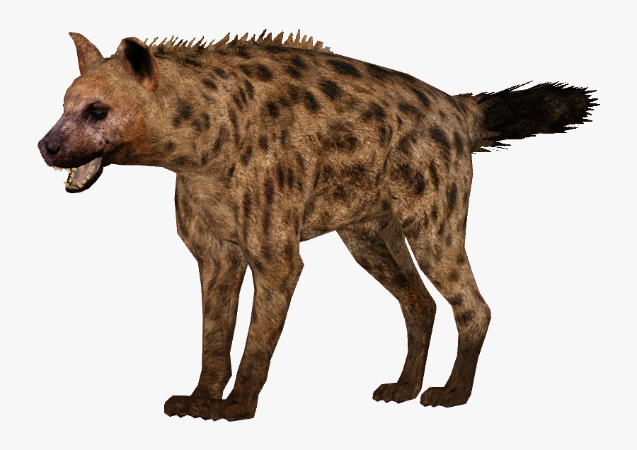 Hyena Png Image File - Hyena Png, Transparent Clipart