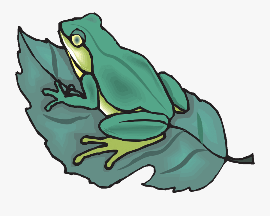 Transparent Frog Clipart Png - Mink Frog, Transparent Clipart