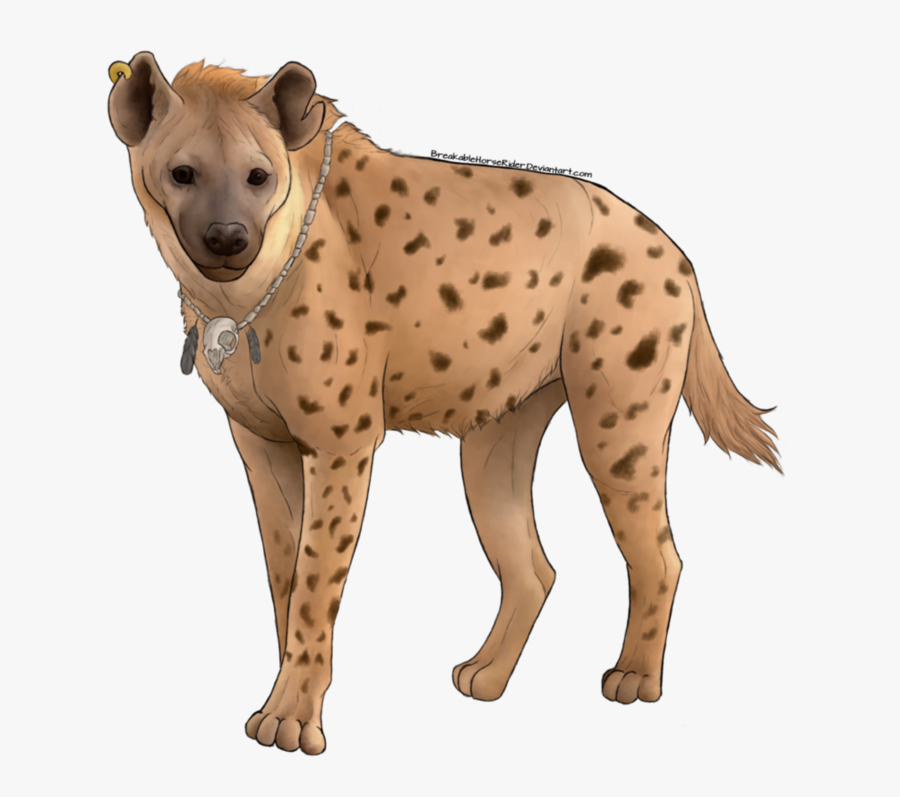 31477 - Hyena Transparent, Transparent Clipart