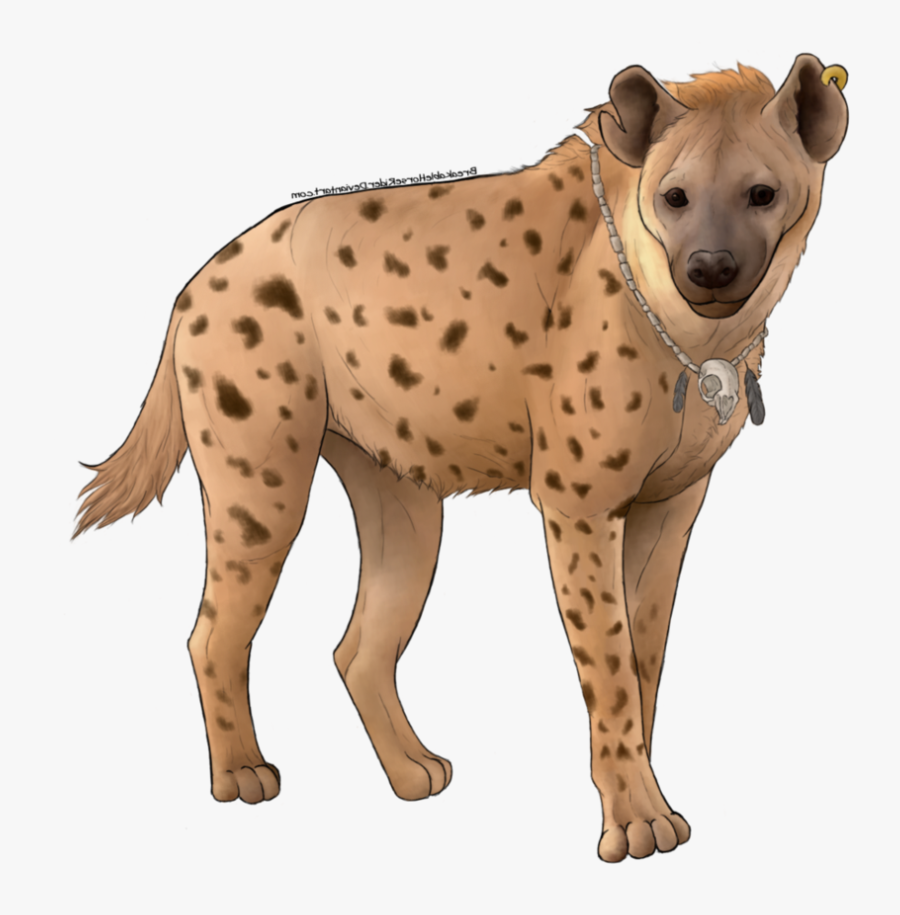 Hyena Png Free Images - Spotted Hyena, Transparent Clipart