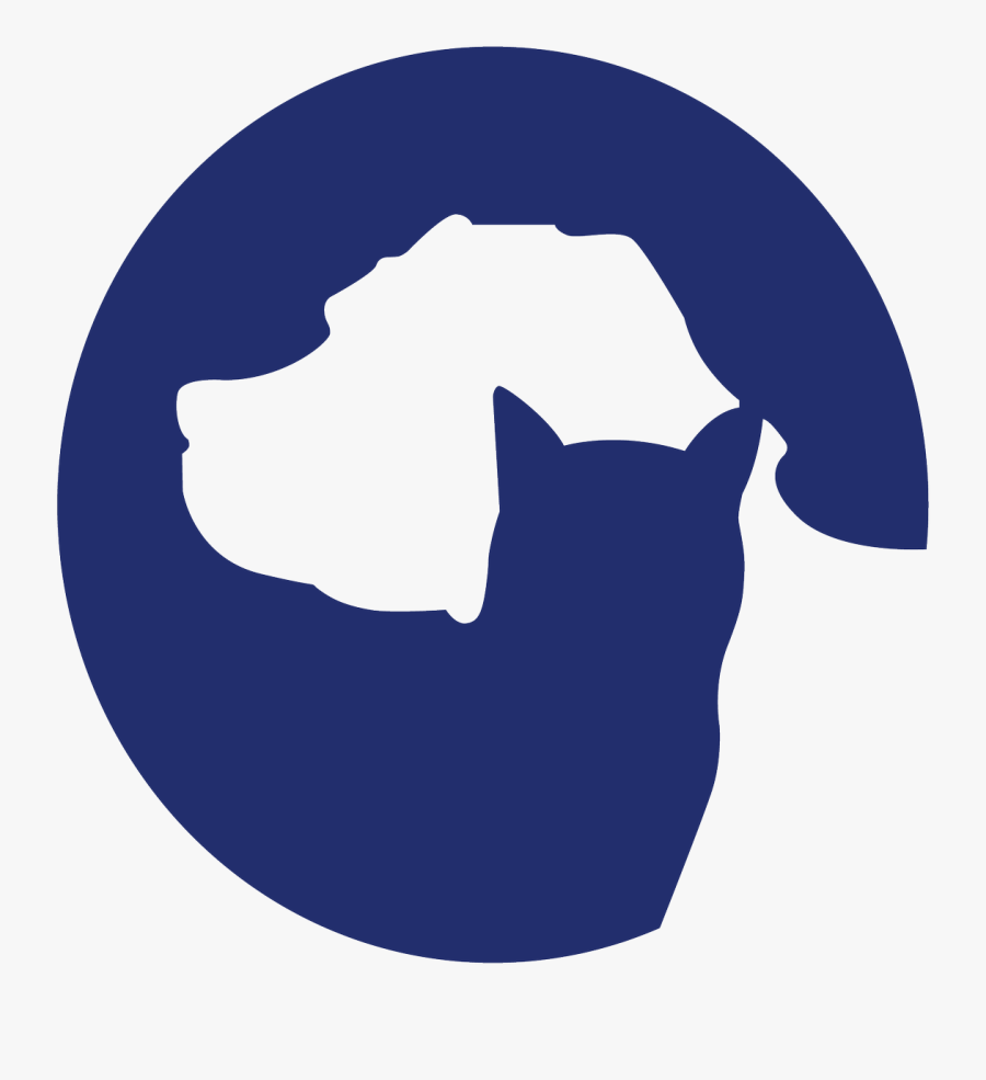 The Board Of Directors Has Hired Joe Stabb, Ph Clipart, Transparent Clipart