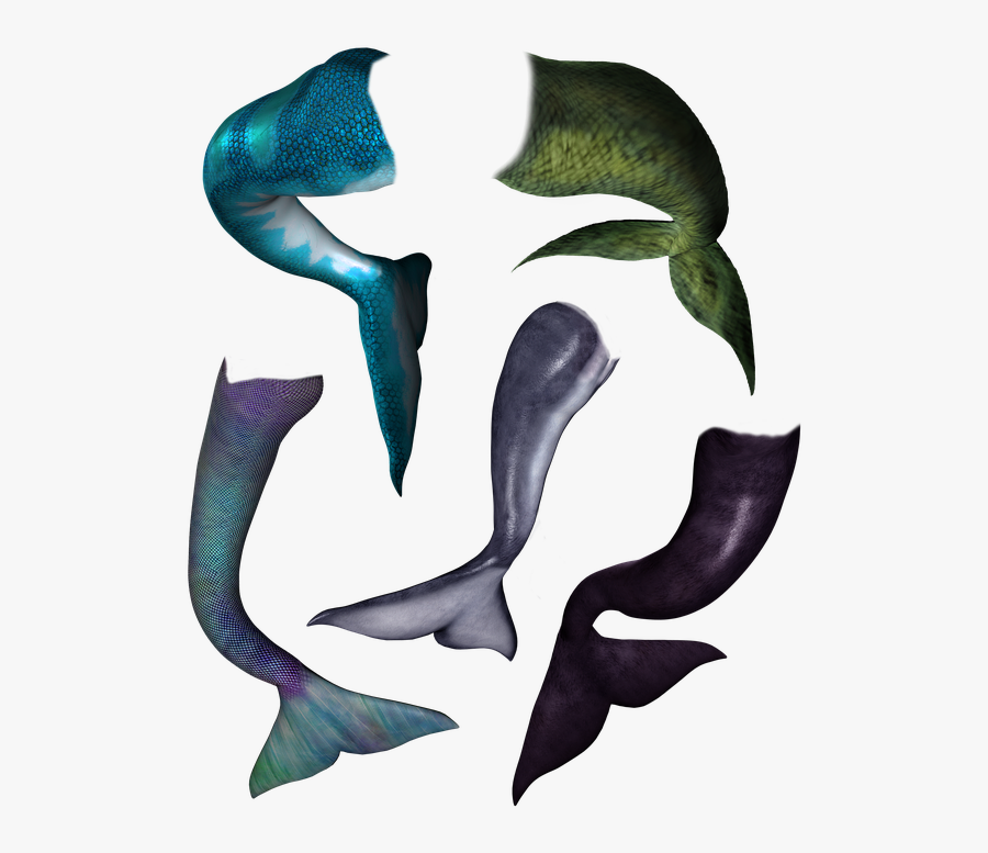 Mermaid Tail Dolphin - Dolphin Mermaid Tail, Transparent Clipart