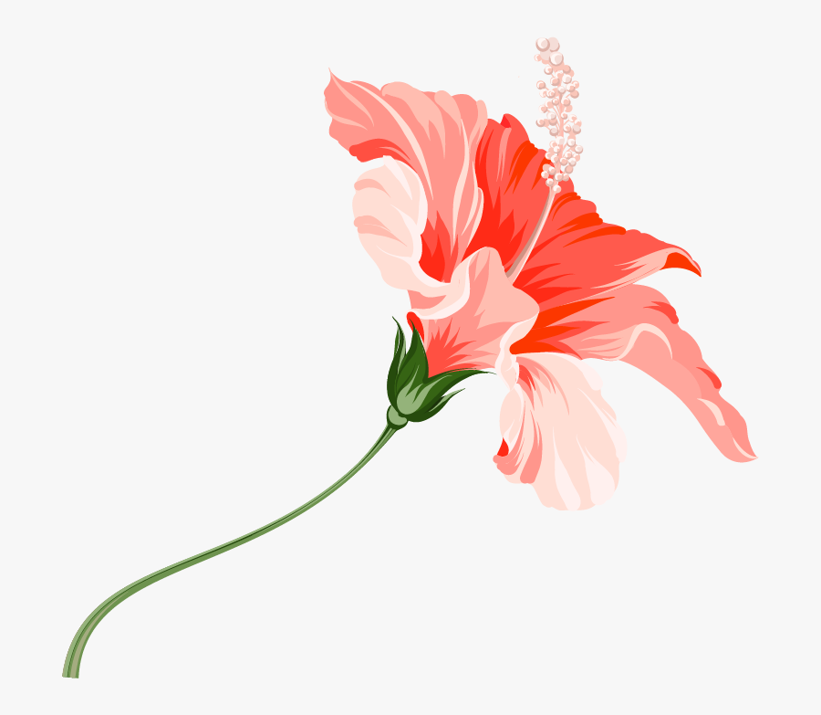 Match Me With A Travel Agent - Hawaiian Hibiscus, Transparent Clipart