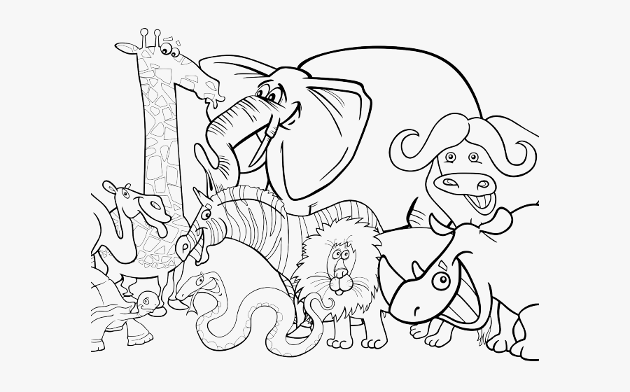 Zoo Clipart Drawing Jungle Animals Clipart Black And White Free Transparent Clipart Clipartkey