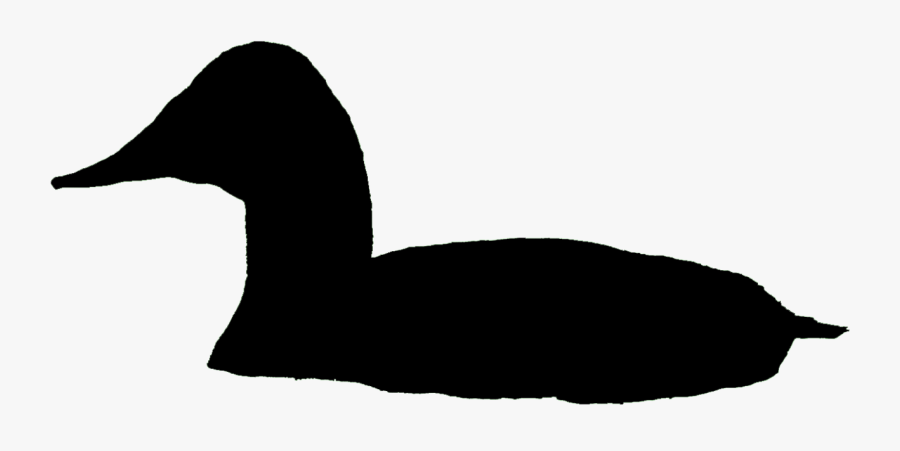 Canvasback Male Bronx Zoo - Bird Silhouette Swimming, Transparent Clipart