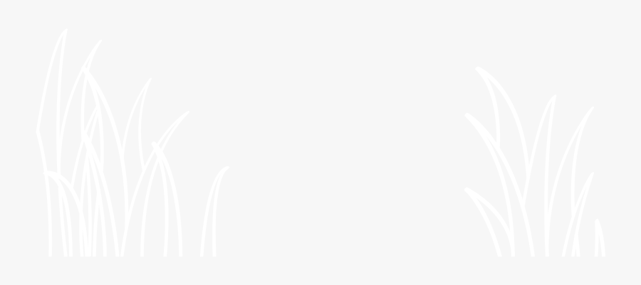 Johns Hopkins Logo White, Transparent Clipart