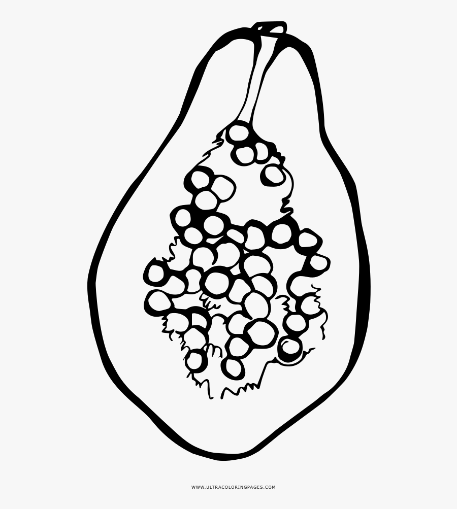 Papaya Coloring Page Papaya Clip Art Black And White Png , Free