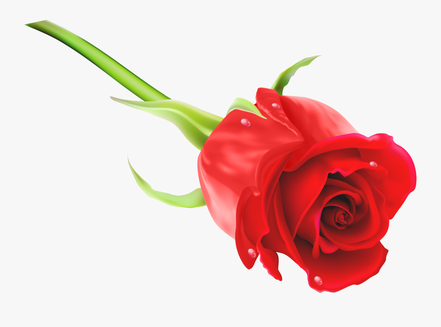 Red Rose Png Clip Art Imageu200b Gallery Yopriceville - Rose Image Png Hd, Transparent Clipart