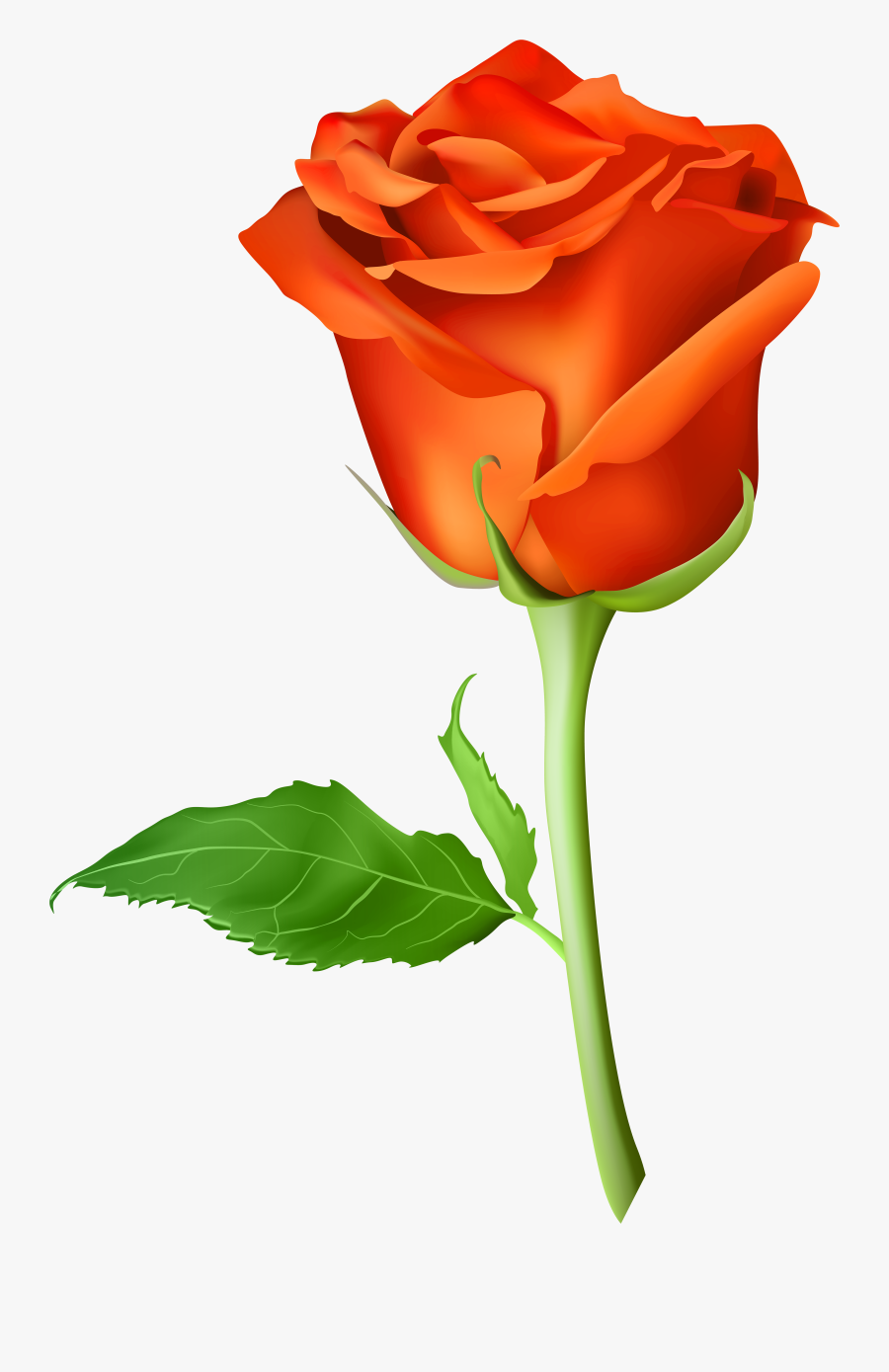 Picsart Rose Png Hd Clipart , Png Download - Picsart Rose Png Hd, Transparent Clipart