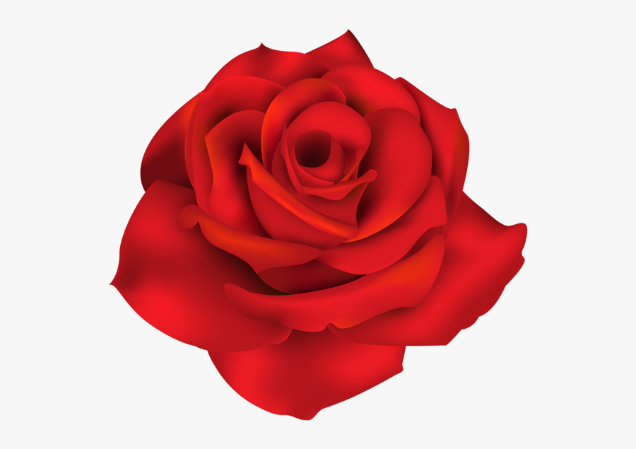 Red Rose Png - Single Red Rose Clip Art, Transparent Clipart