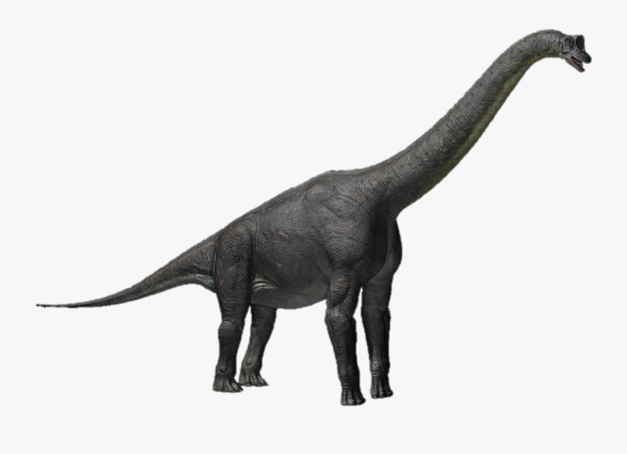 Ankylosaurus Clipart For Kids - Dinosaurs Alamosaurus, Transparent Clipart