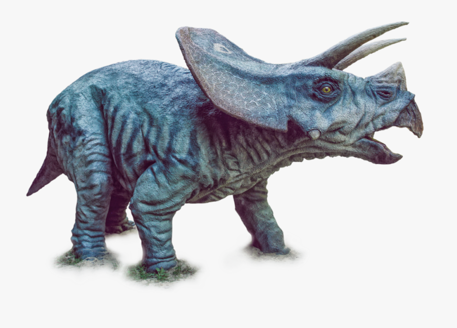 Triceratops Png, Transparent Clipart