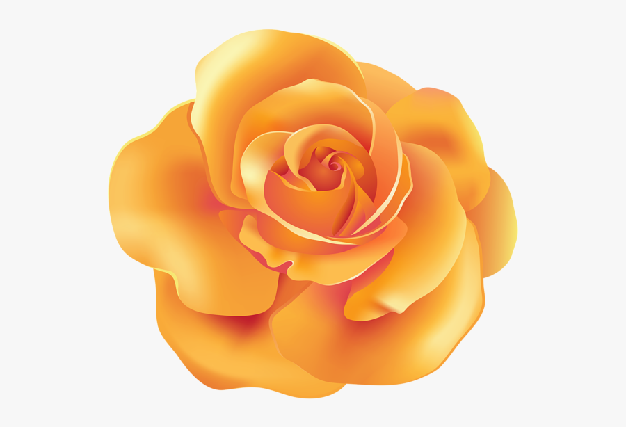 Orange Rose Clip Art, Transparent Clipart