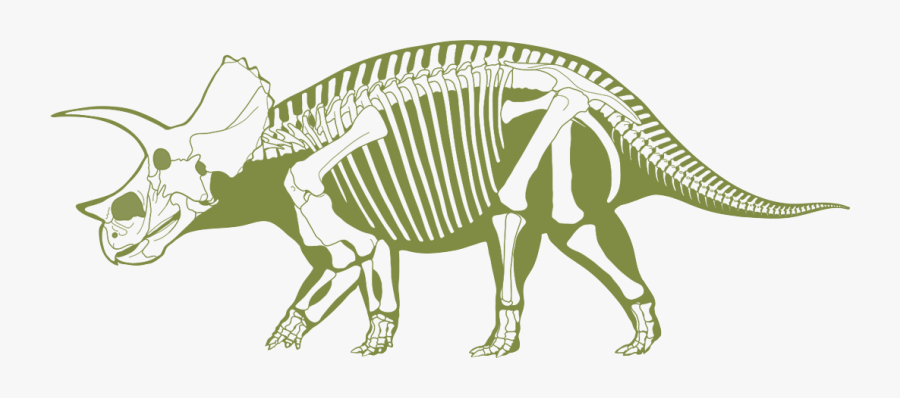 Profile Photo Dino Triceratops - Dinosaur Skeleton Clipart Green, Transparent Clipart