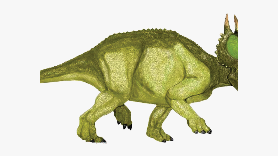 Einiosaurus, Transparent Clipart