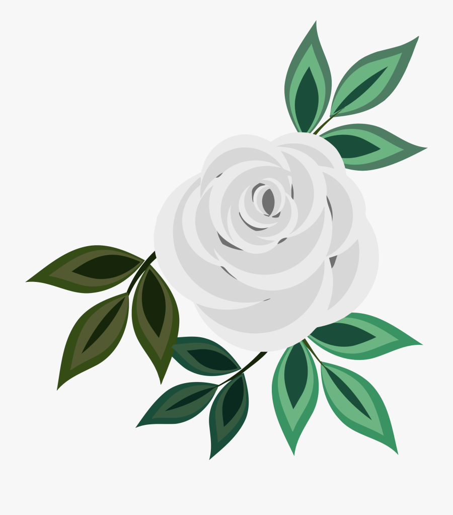 Transparent White Rose Png - White Rose Png Clipart, Transparent Clipart