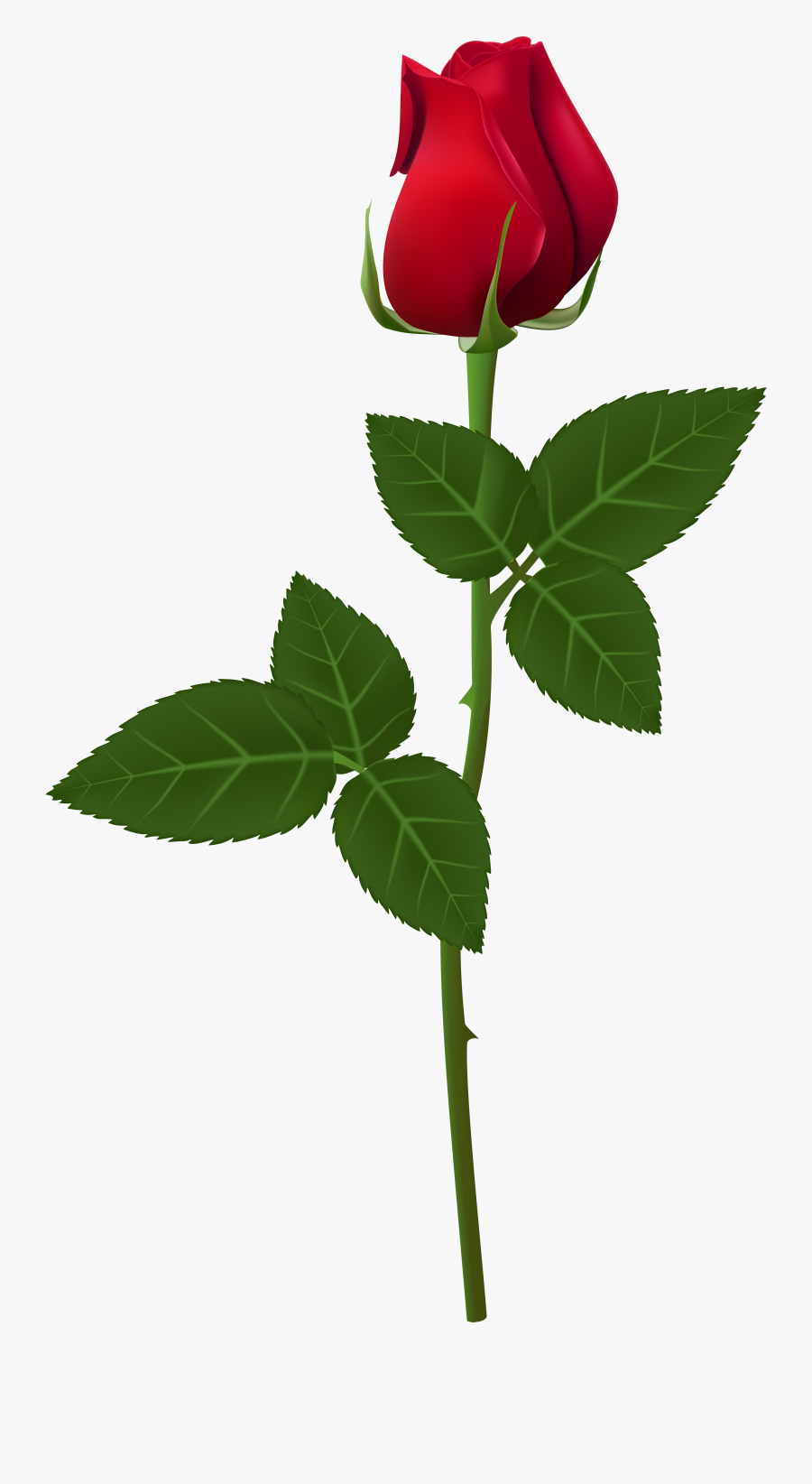 Rose Clip Art Image - Rose Png For Picsart, Transparent Clipart