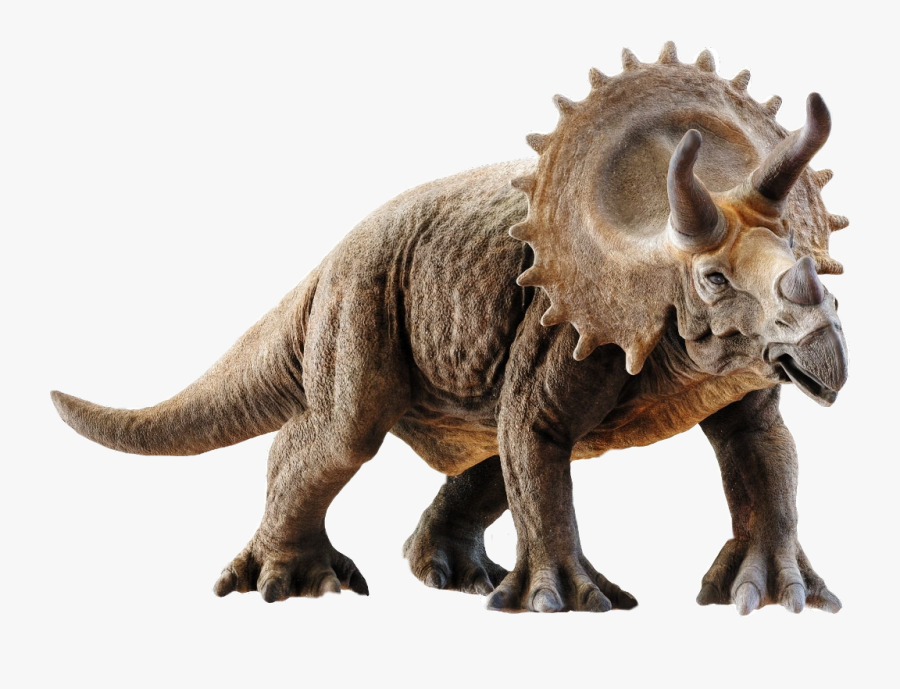 #triceratops #dinosaurs
#dinosaur #sticker #freetoedit - Triceratops Picture No Background, Transparent Clipart