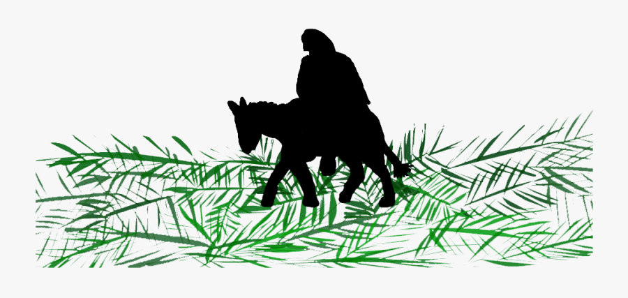 Pictures For The 6th Sunday In Lent - Palm Sunday Jesus On A Donkey Silhouette, Transparent Clipart
