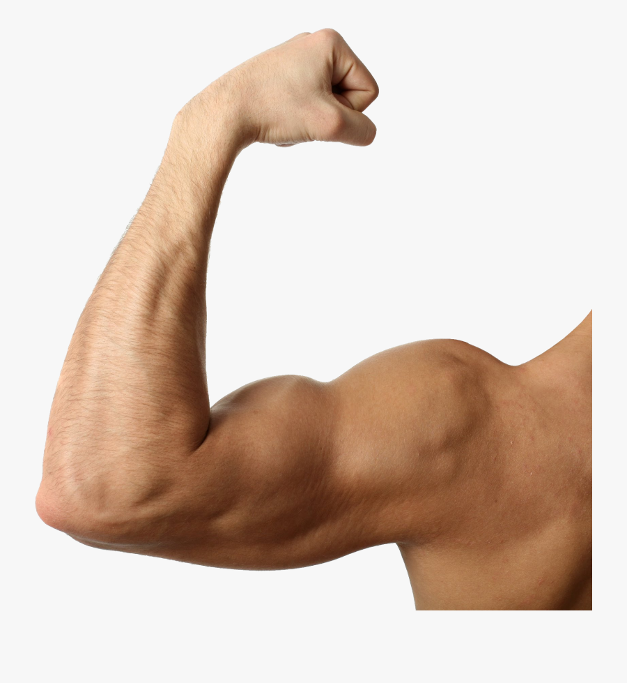 Transparent Muscle Man Clipart - Muscular Arm Transparent Background , Free...