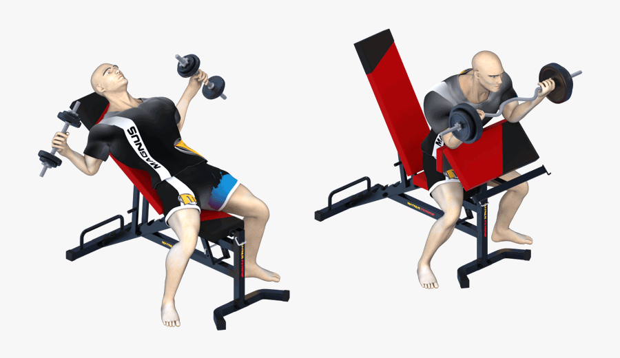 Killer Chest Workout On Magnus Design Bench - Sitting, Transparent Clipart