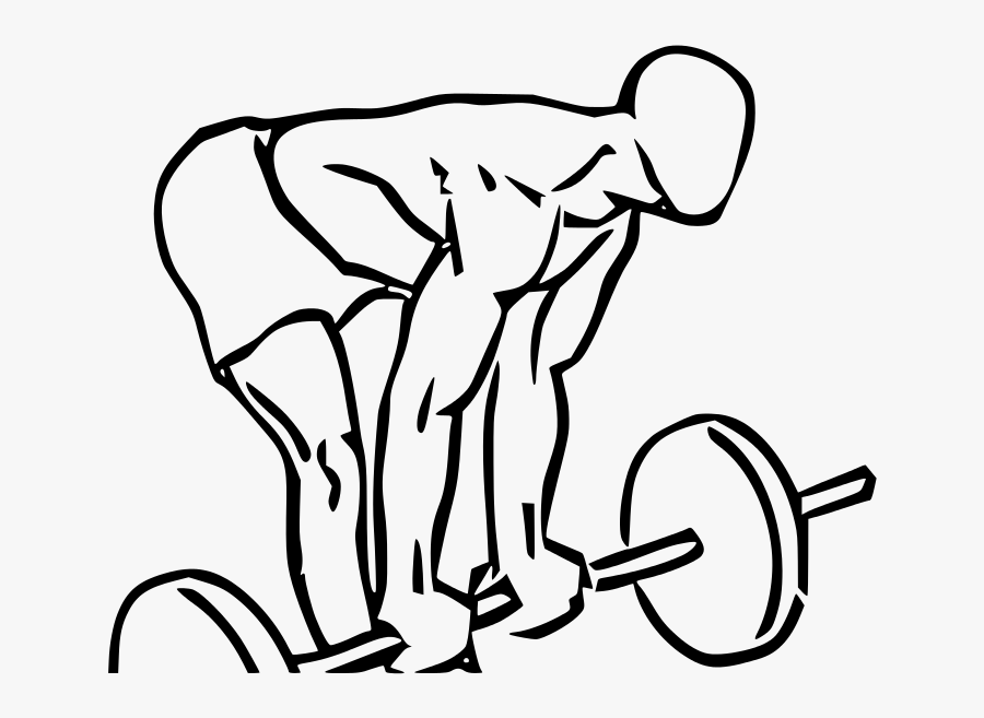 Transparent Deadlift Png - Bicep Curl With Deadlift, Transparent Clipart