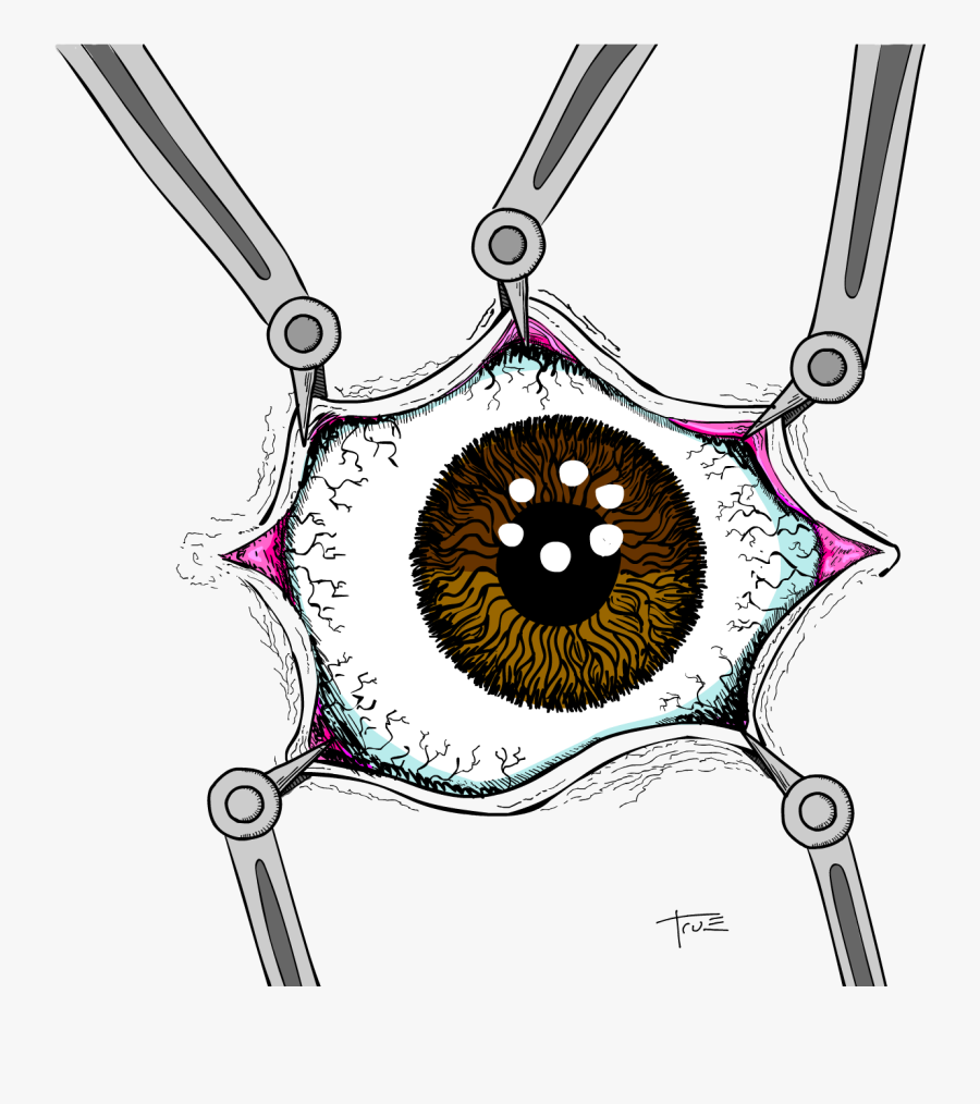 Circle, Transparent Clipart