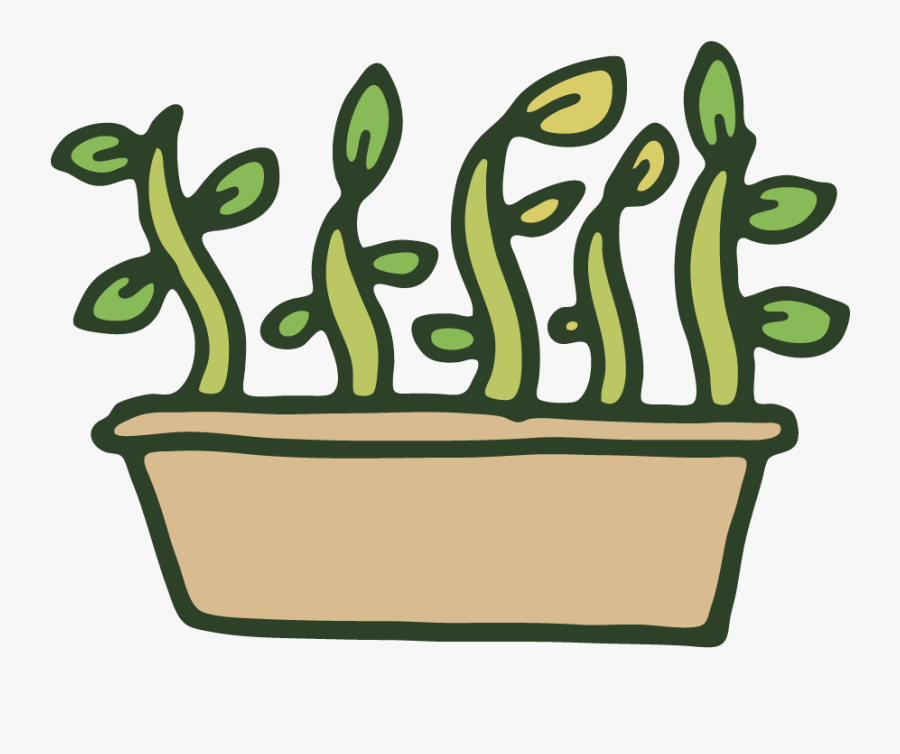 Plant Propagation Icon - Plant Propagation Clipart, Transparent Clipart