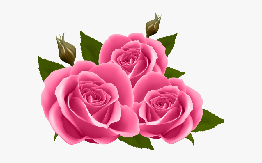 Birthday Wish For Friend In English, Transparent Clipart