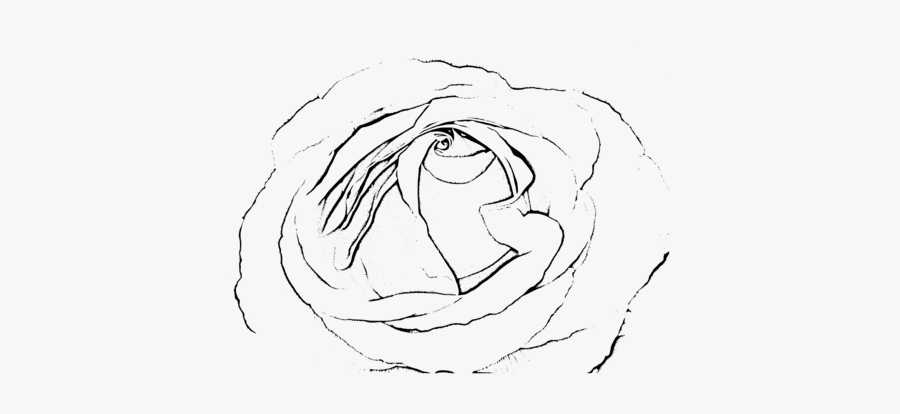 Art,monochrome Photography,artwork - Rosa Png Preta E Branca, Transparent Clipart